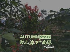 -火炉山森林公园