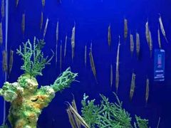 -乌鲁木齐海洋馆
