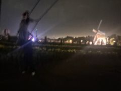 -荷兰花海
