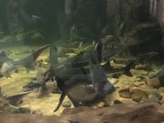 -台州海洋世界