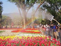 -国家植物园南园