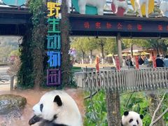 -无锡动物园·太湖欢乐园