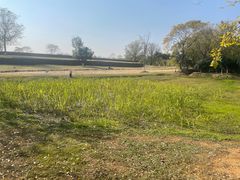 -盘龙城国家考古遗址公园