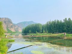 -白河湾生态旅游一条川