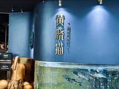 -黄晓猫剁椒大鱼头(海岸城店)