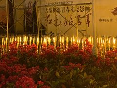 -三亚红色娘子军演艺公园景区
