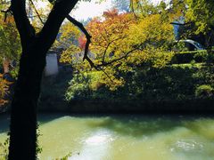 -虎丘山风景名胜区