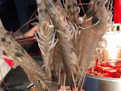 -辣伍鲜毛肚老火锅(元一店)