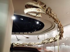 -自贡恐龙博物馆