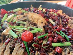 -老板恋上鱼(恒隆广场店)