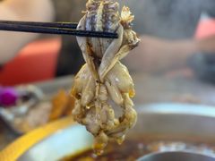 -蛙宴·美蛙火锅基地(万象城店)