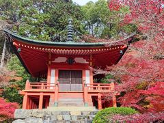 -野宫神社
