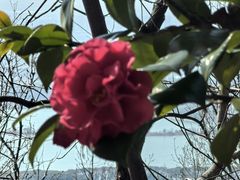 -宝岩生态观光园