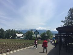 -富田农场