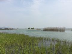 -太湖湖滨国家湿地公园-停车场