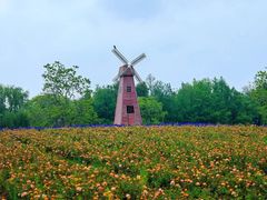 -同里国家湿地公园