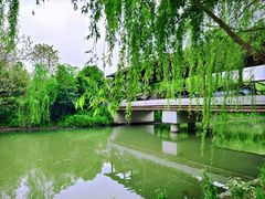 -广富林郊野公园