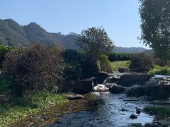 -中国茶叶博物馆(双峰馆区)