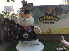 -柴犬高等学院·狗咖·柴犬售卖·宠物训练