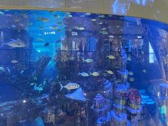 -COACH蔻驰(星光68广场店)