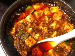 -陈麻婆豆腐总店