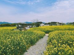-湖山人家·湖景餐厅·特色农家菜(太湖西山店)