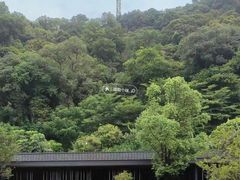-云溪植物园