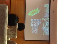 北京七彩云南翡翠珠宝旗舰店（月坛店）-北京七彩云南翡翠珠宝旗舰店(月坛店)