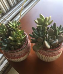 -馨月汇·一悦馨香月子中心(前滩店)