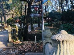 -灵谷景区