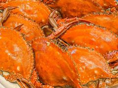 -渔家风味·鲅鱼水饺l央视展播·海鲜天津菜(开发区店)