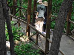 -大岭沟猕猴桃谷风景区