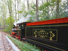 -合肥滨湖国家森林公园