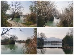 -西溪国家湿地公园