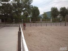 -北京长城阳光山谷马术俱乐部