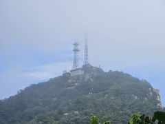 -鲁山国家森林公园