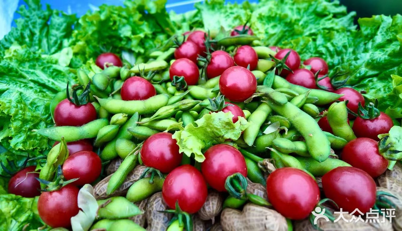 今天的外卖吃什么好呢