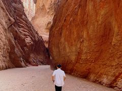 -天山神秘大峡谷