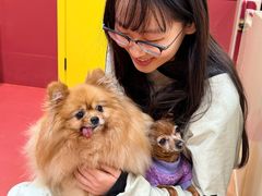 -和它·交个朋友·狗咖猫咖(爱琴海店)