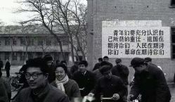 -哈尼鹿儿童乐园(大同星茂汇店)