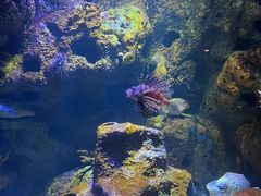 -郑州海洋馆