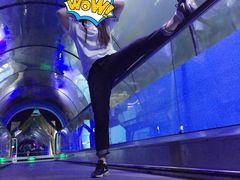 水族馆内景，没单独拍，这张凑数的，但是也应该能看出一般般吧-云龙湖旅游景区