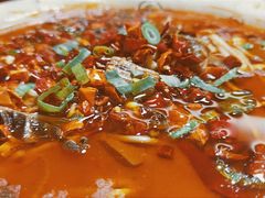 毛血旺-蜀膳坊(洪公祠小区店)