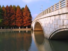 -九里河湿地公园