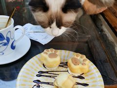 -喵屿·大理花园猫咖