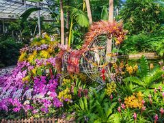 -北京植物园-展览温室