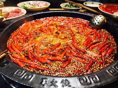 -蜀大侠火锅(建设路第五大道店)