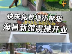 -海合安成都极地海洋公园