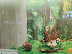 -七采菌园·野生菌石锅鱼(环城北路店)