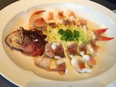 -子福慧(虹桥店)